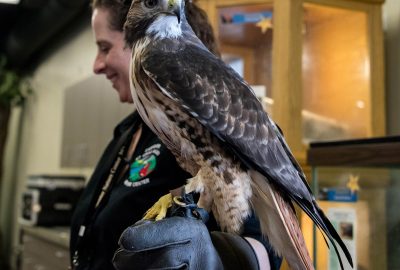 Carpenter Nature Center